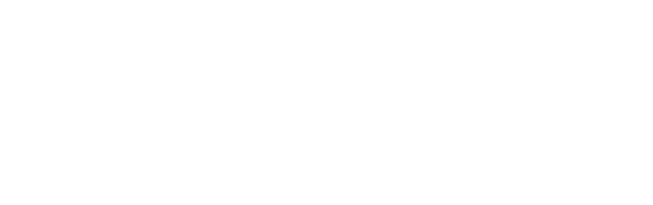 OMNI LIFE & HEALTH